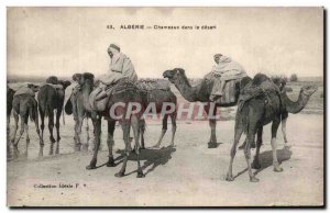 Old Postcard Algeria Camels In The Desert