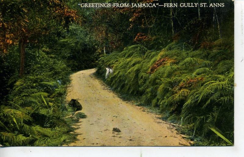 GREETINGS FROM JAMAICA FERN CULLY ST. ANNS VINTAGE POSTCARD