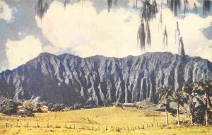 Hawaiian Cliffs near Honolulu Hawaii 1950s color postcard