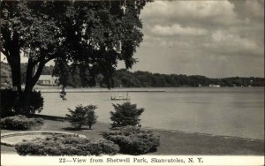 Skaneateles New York NY View from Shotwell Park Real Photo Vintage Postcard