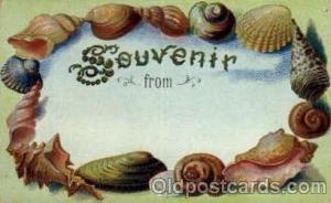 Shells, Shell Border, Postcard Post Card  