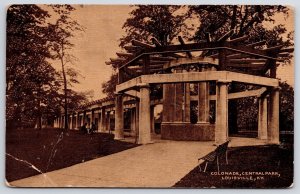 Vintage Postcard Colonnade Central Park Pathway Bench Louisville Kentucky K.Y.