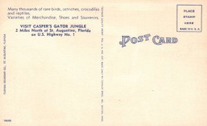 Vintage Postcard Dangerous Man Killing Alligators Casper's Gator Jungle Florida