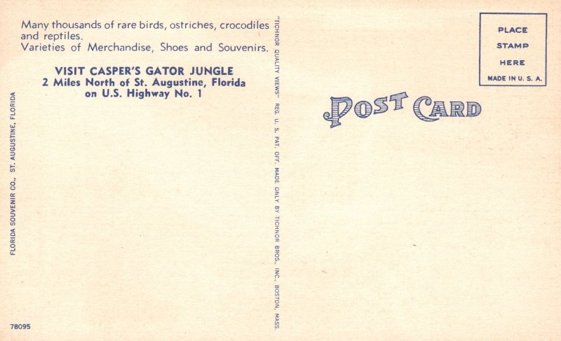 Vintage Postcard Dangerous Man Killing Alligators Casper's Gator Jungle Florida