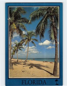 Postcard Tropical Palms Along the Miles Of Florida Beaches, Florida