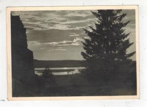 Mint WW 2 Germany Waffen SS Postcard Nord Division Karalia Sunset View Forest