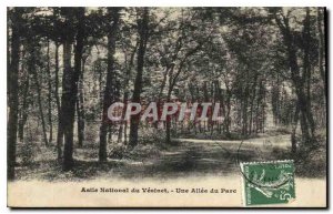 Postcard Old National Asylum Vesinet A Allee Park