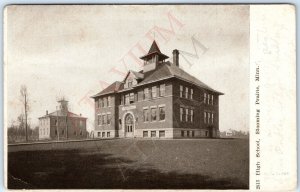 c1910s Blooming Prairie, MN High School Litho Photo Pearson Postcard Minn A166