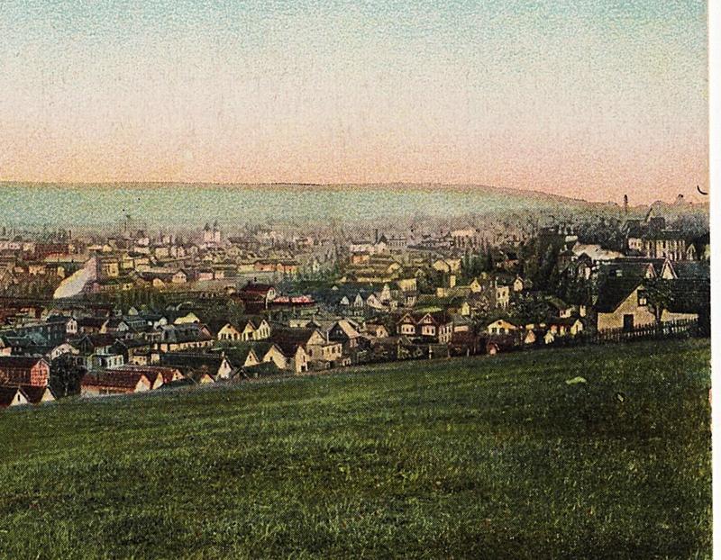 1907 Bird's Eye View of Wilkes-Barre PA Houses Hill Luzerne Co RARE DB Postcard