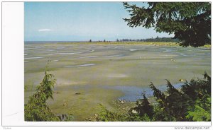 Tidal Sands,  Parksville,  Vancouver Island,  Vancouver,   Canada,   40-60s