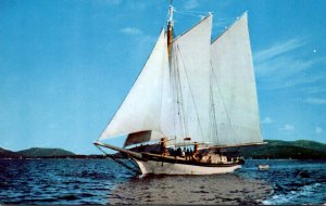 Schooner Stephen Taber Along The Maine Coast 1967