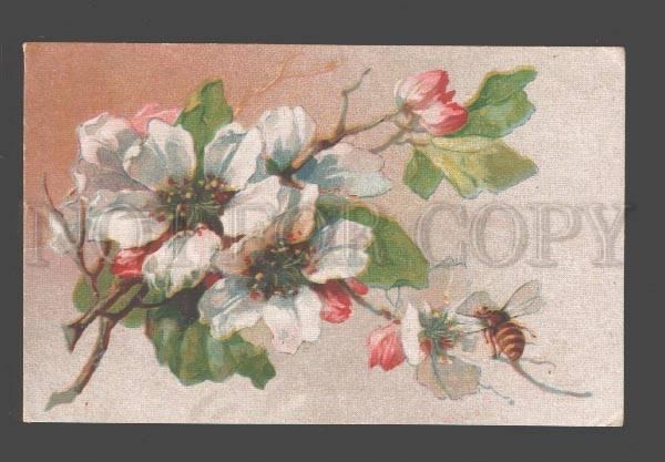 086432 APPLE Tree Flowers w/ BEE UnSign KLEIN vintage Rus PC