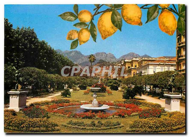 Postcard Moderne Menton The public garden and Sainte Agnes Lemons mountains