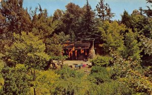 Disneyland Frontierland Burning Settlers Cabin Vintage Postcard AA110036