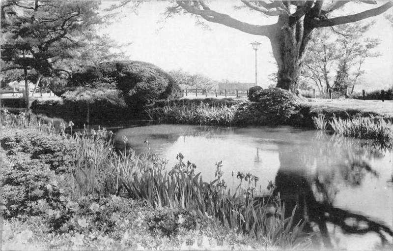 japan  Pond with trees nearby