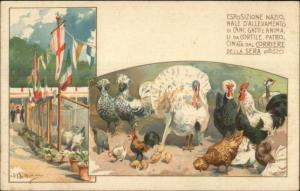 Animal Breeders Exhibition Cats Dogs Italy c1900 A/S Postcard CHICKENS