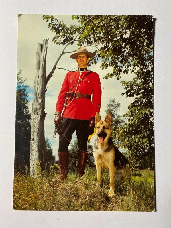 POSTED 1977 CANADA POSTCARD - GUARDIANS OF LAW MOUNTIE & ALSATION (KK963)