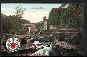 Northumberland Postcard - In Jesmond Dene  RS3004