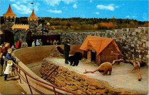 Postcard AB Edmonton Storyland Valley Zoo Man Playing with Bear Cubs 1960s K51