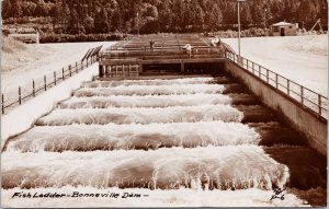 Fish Ladder Bonneville Dam WA Washington c1952 Real Photo Postcard G98