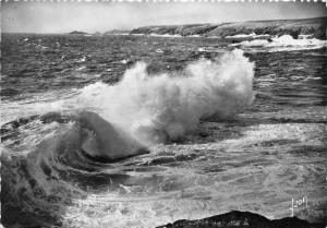 BR7672 Quiberon La Cote sauvage  france