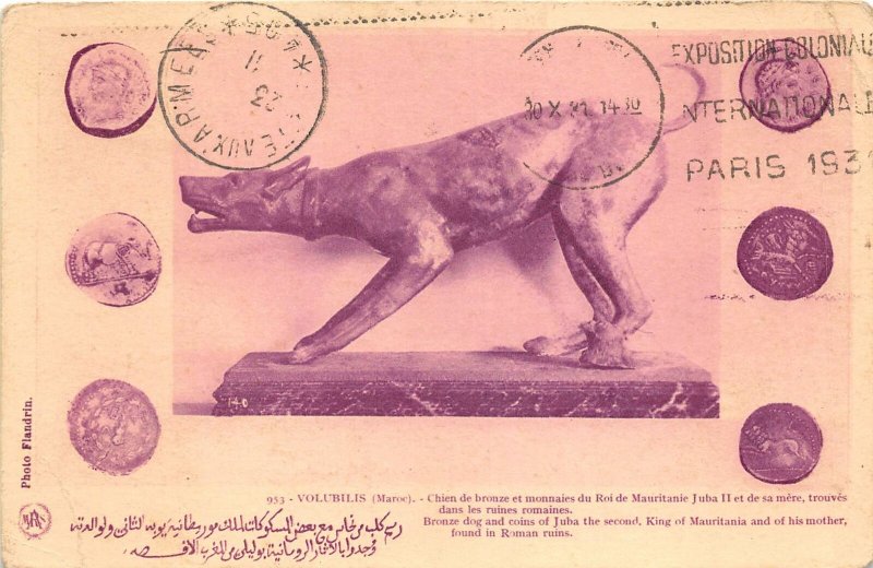 Lot135 africa morocco Volubilis bronze dog and coins of juba postcard mauritania