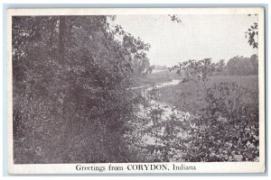 Greetings From Corydon Indiana IN, River Trees Scene Vintage Unposted Postcard