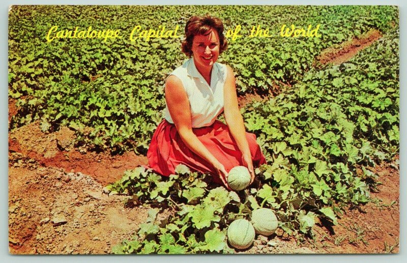 Blythe California~Woman in the Field~Cantaloupe Capital of the World~Postcard