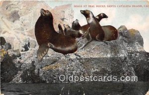 Santa Catalina Island, CA, USA Seals, Seal Rocks Unused 