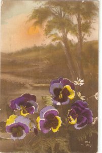 Violet Flowers in landscape Nice vintage postcard