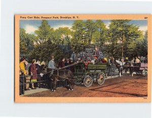 Postcard Pony Cart Ride, Prospect Park, Brooklyn, New York