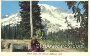 Mt. Rainer National Park Bear Unused 