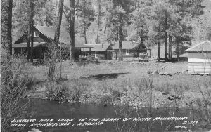 Diamond Rock Lodge White 1940s Springerville Arizona RPPC Postcard 9304