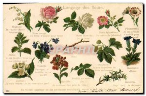 Old Postcard Fantasy Flowers language