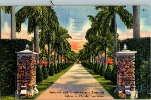 Postcard Entrance Driveway Beautiful Estate Florida Vintage Standard View Card