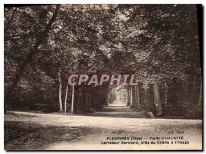 Old Postcard Fleurines Foret d & # 39Halatte Bertrand Carrefour near the Chen...