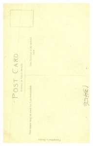 Chickens on Hat on Girl, Another Egg?