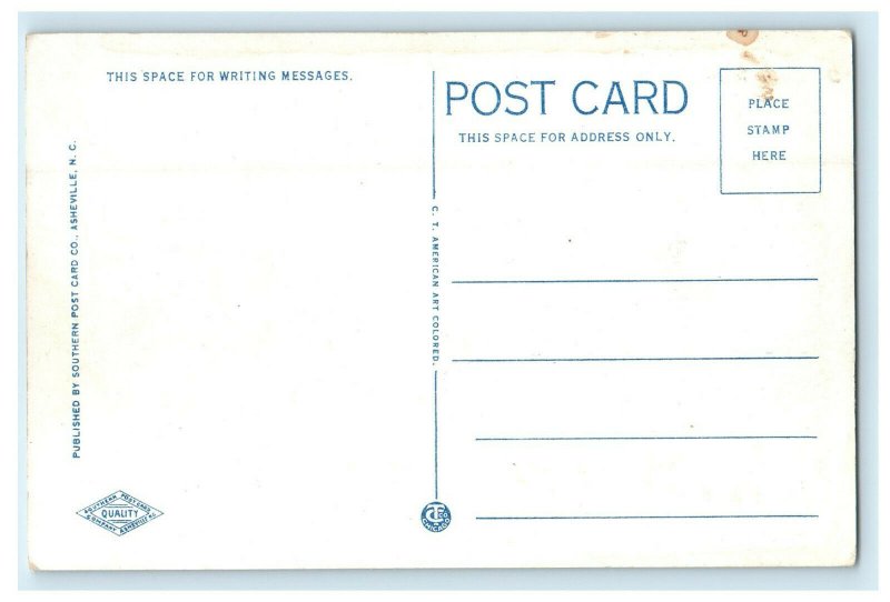 c1920s Carnegie Public Library Hendersonville North Carolina NC Postcard