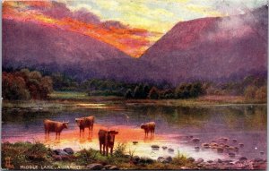 Middle Lake, Killarney Tucks 7260 The Emerald Isle Postcard A36