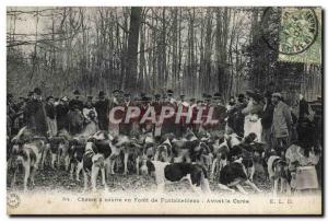 Old Postcard Hunting hounds in a Forest of Fontainebleau Before the kill Dogs...
