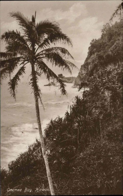 Vintage RPPC Onomea Bay Hawaii HI PALM TREES SURF Real Photo Postcard