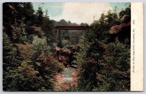 River Bridge At Nay Aug Falls Scanton Pennsylvania PA Scenic Forest Postcard