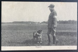 Mint Sweden Real Picture Postcard sanitary dog Report