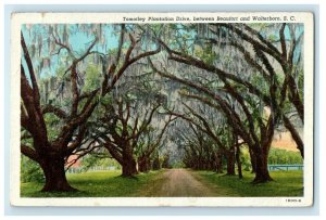 1951 Tomotley Plantation Drive Beaufort Walterboro South Carolina SC Postcard 