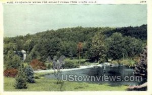 Pure Adirondack Water - Amsterdam, New York NY  