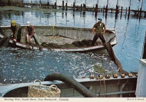 Fishing at New Brunswick Canada Postcard