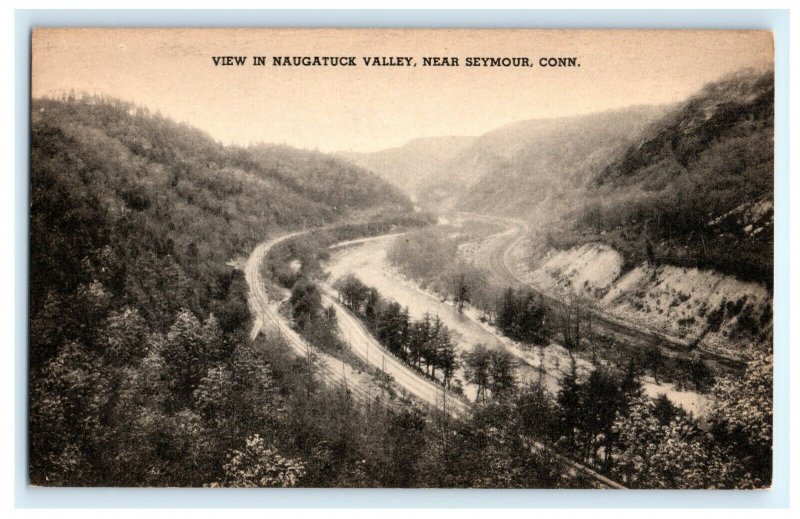 Naugatuck Valley Seymour CT Connecticut Postcard (AH12)