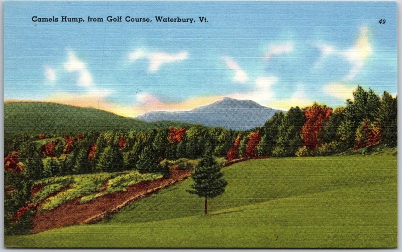 Waterbury Vermont, Camels Hump, From Golf Course, Greenfield, Vintage Postcard