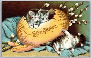 Vtg Easter Greetings Cats Kittens Emerging from Broken Egg 1908 Old Postcard