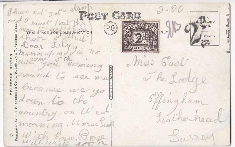 Kent; Margate, New Pavilion & Winter Gardens PPC, 2d Postage Due & Cachet